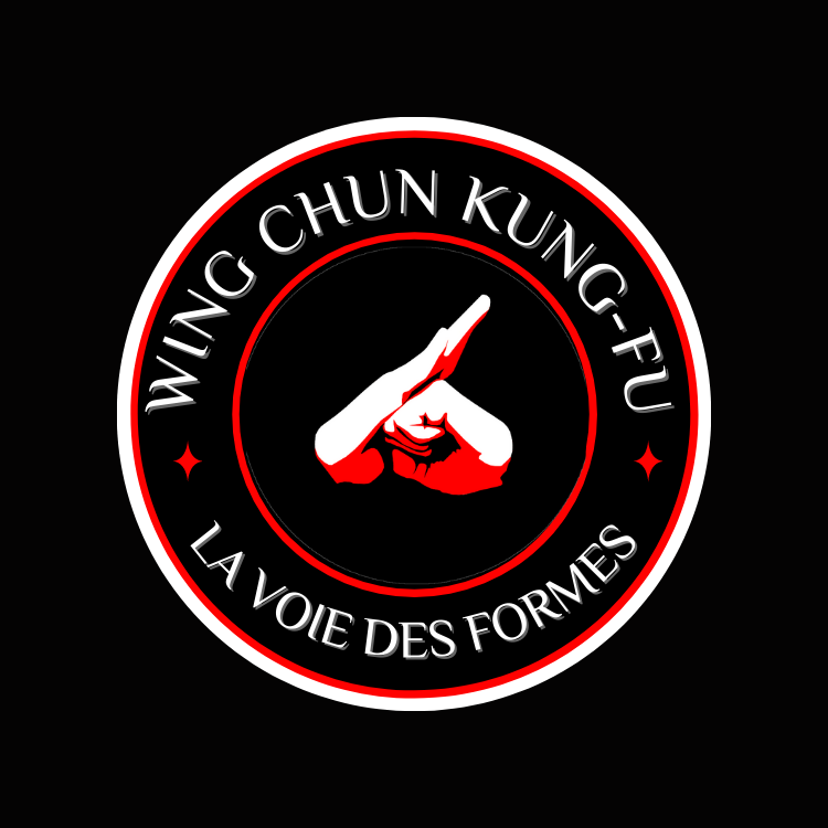 wing chun kung fu la voie des formes 750