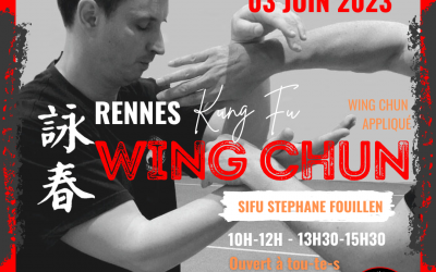 Stage de Wing Chun Kung Fu – Stéphane Fouillen – 03 juin 2023