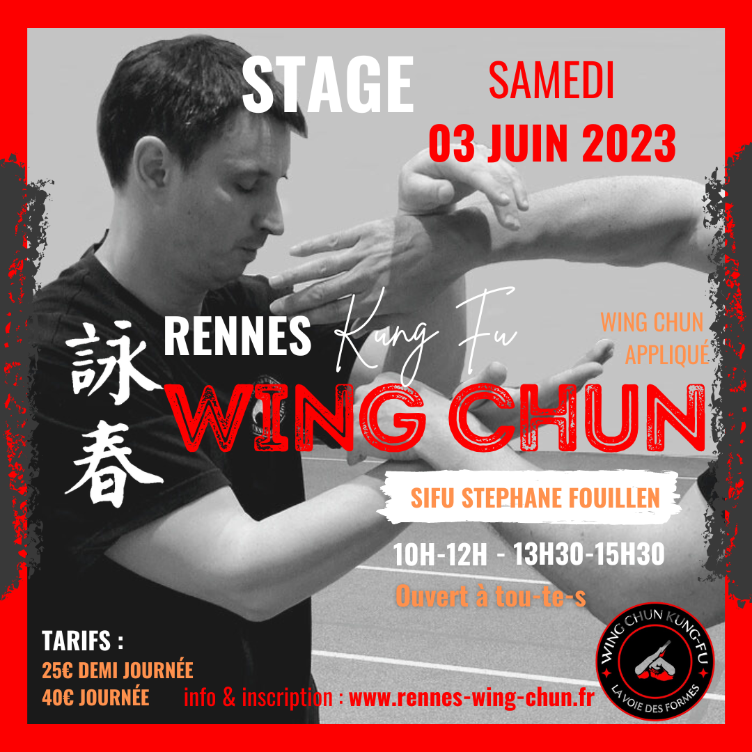 Stage Wing Chun kung fu Rennes