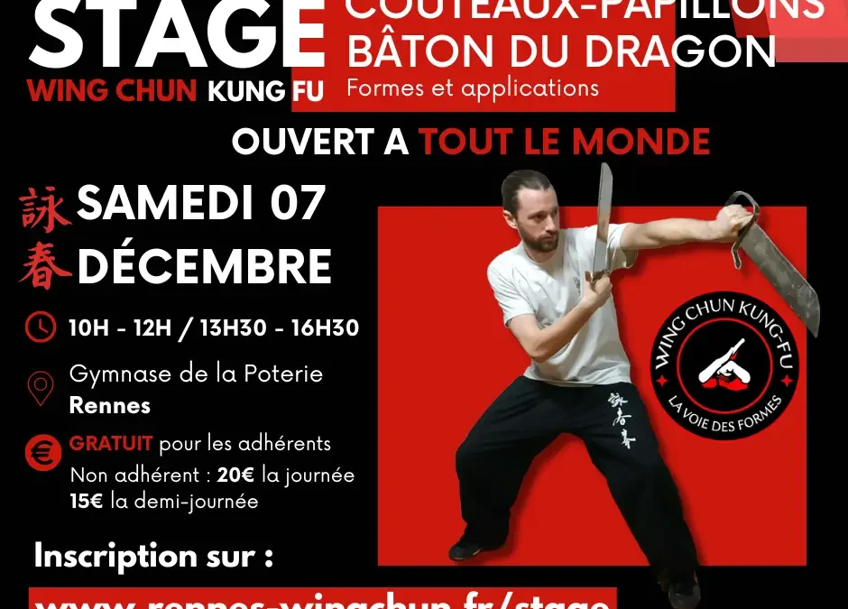 Stage Wing Chun : Couteaux Papillons & Bâton du dragon