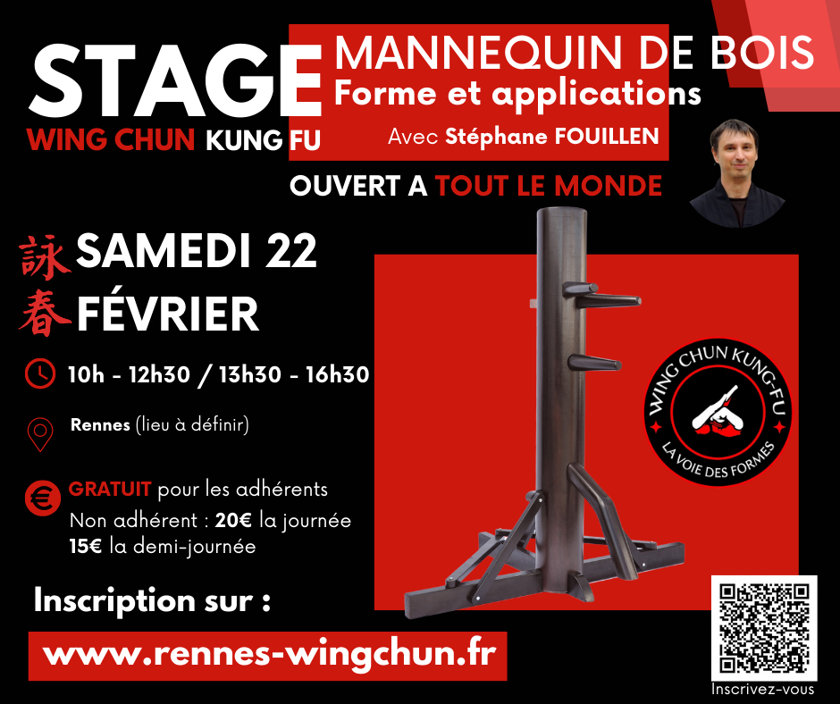 stage wing chun rennes mannequin de bois